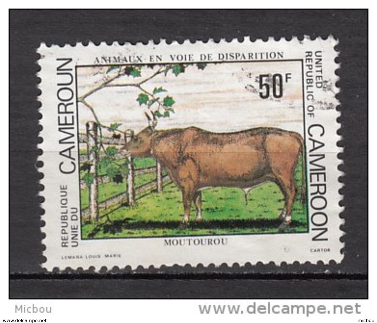 Cameroune, Cameroon, Boeuf, Bull, Taureau, Taurus - Granjas