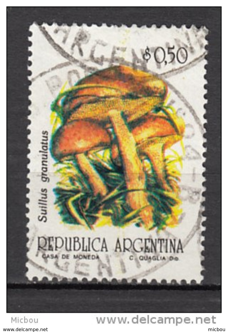 Argentine, Argentina, Champignon, Mushroom - Mushrooms