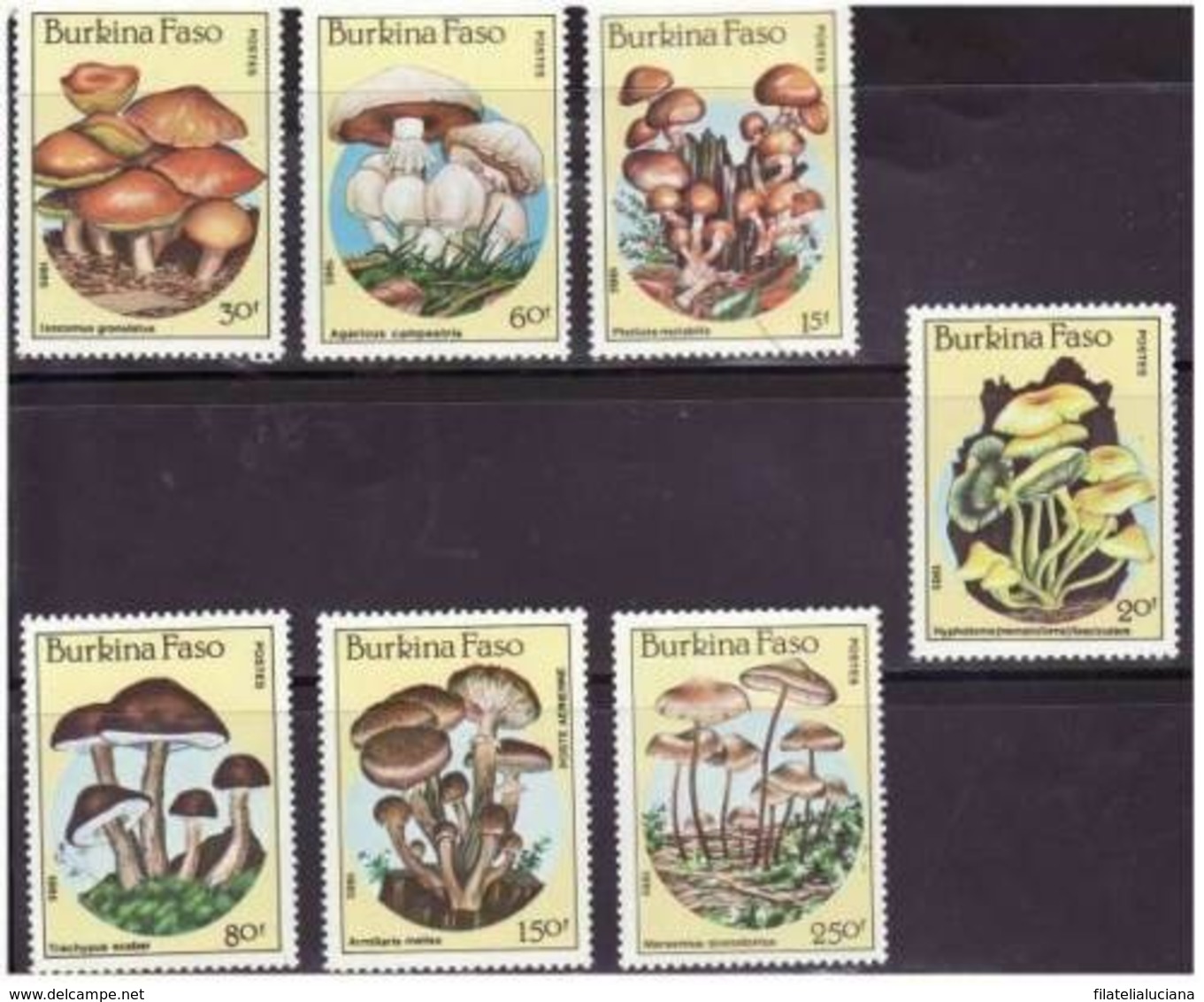 Burkina Faso 1985 MNH Full Set Mushrooms Scott 743-749 - Pilze