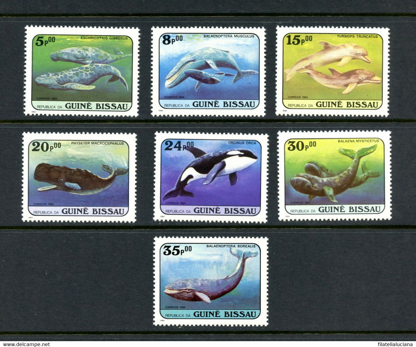 Guinea-Bissau-Whales-Set Of 7 Stamps Gb597-603 - Fishes