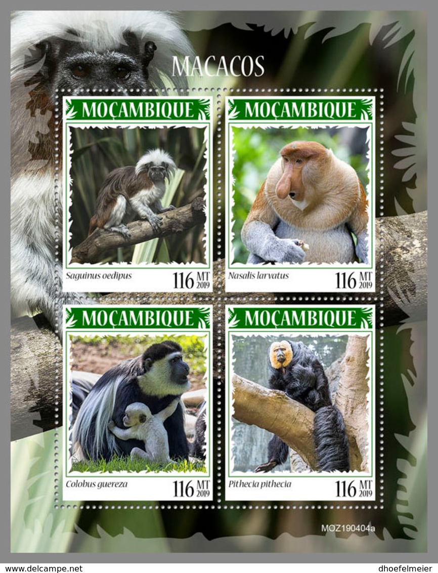 MOZAMBIQUE 2019 MNH Monkeys Affen Singes M/S - OFFICIAL ISSUE - DH1940 - Scimmie