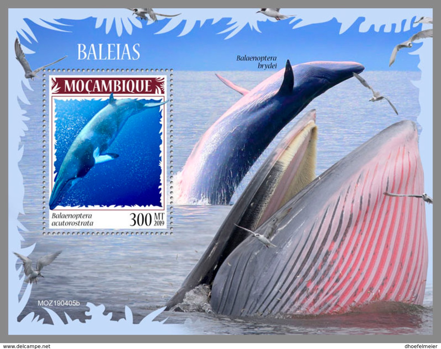 MOZAMBIQUE 2019 MNH Whales Wale Baleines S/S - OFFICIAL ISSUE - DH1940 - Whales