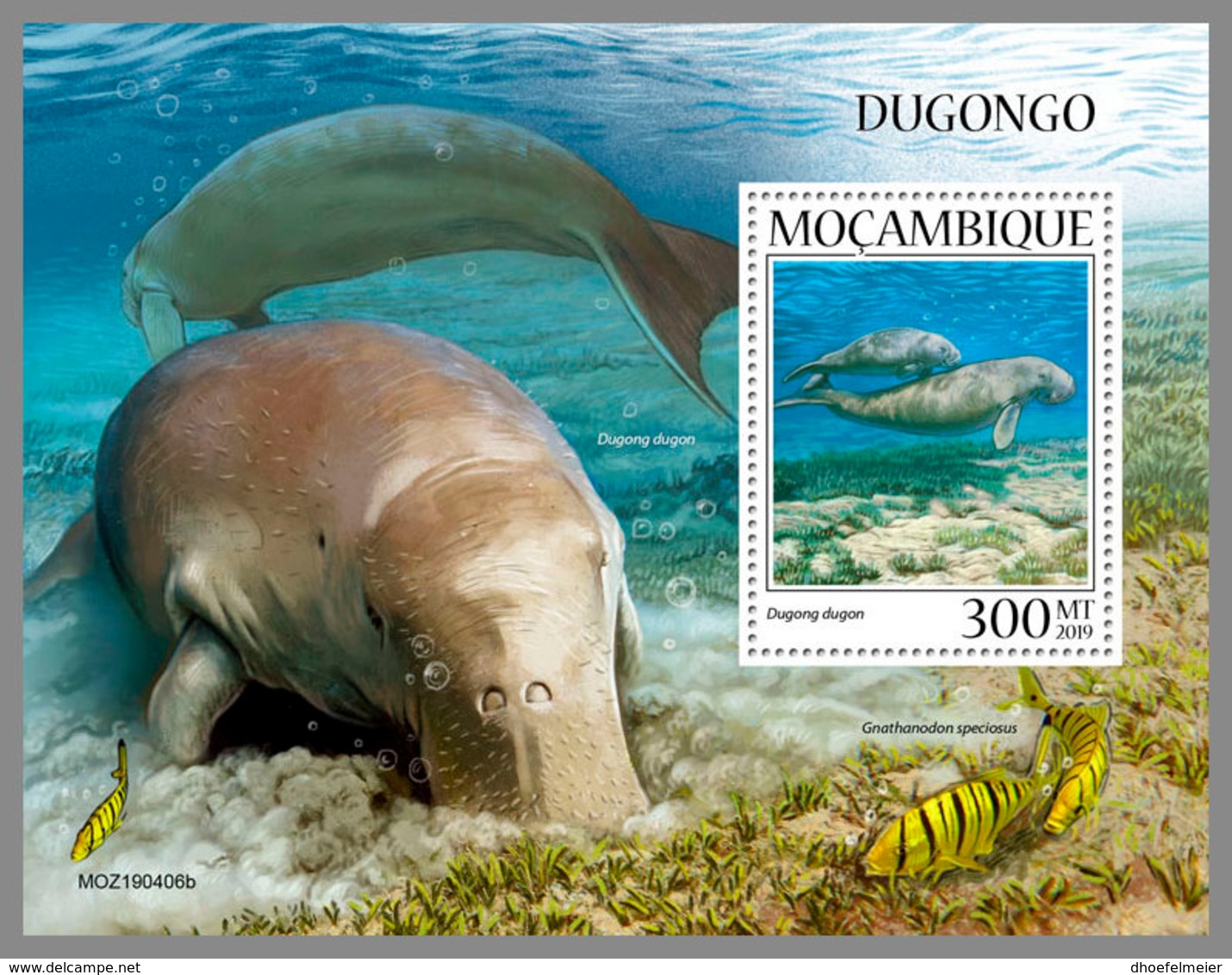 MOZAMBIQUE 2019 MNH Dugongs S/S - IMPERFORATED - DH1940 - Other & Unclassified