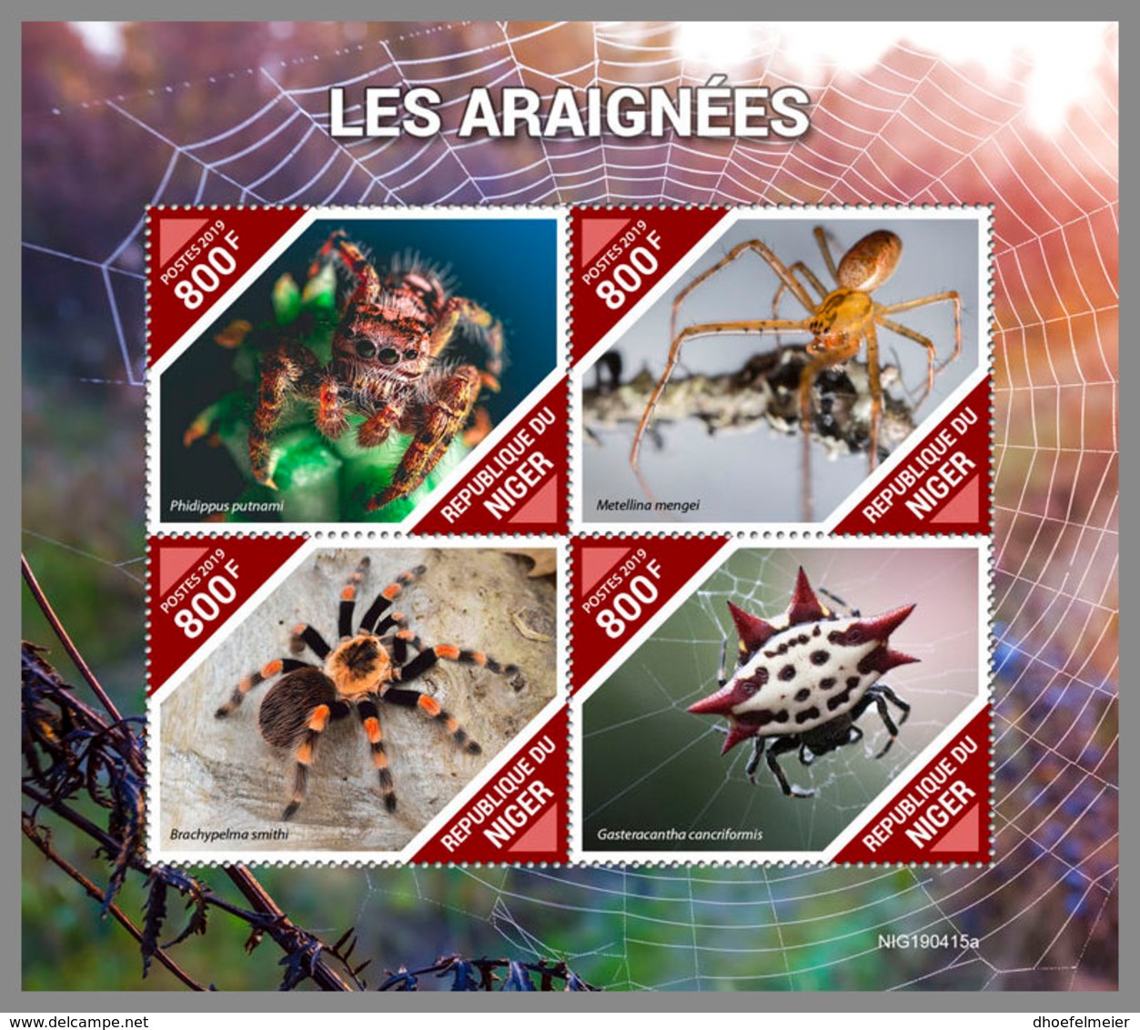 NIGER 2019 MNH Spiders Spinnen Araignees M/S - IMPERFORATED - DH1940 - Spinnen