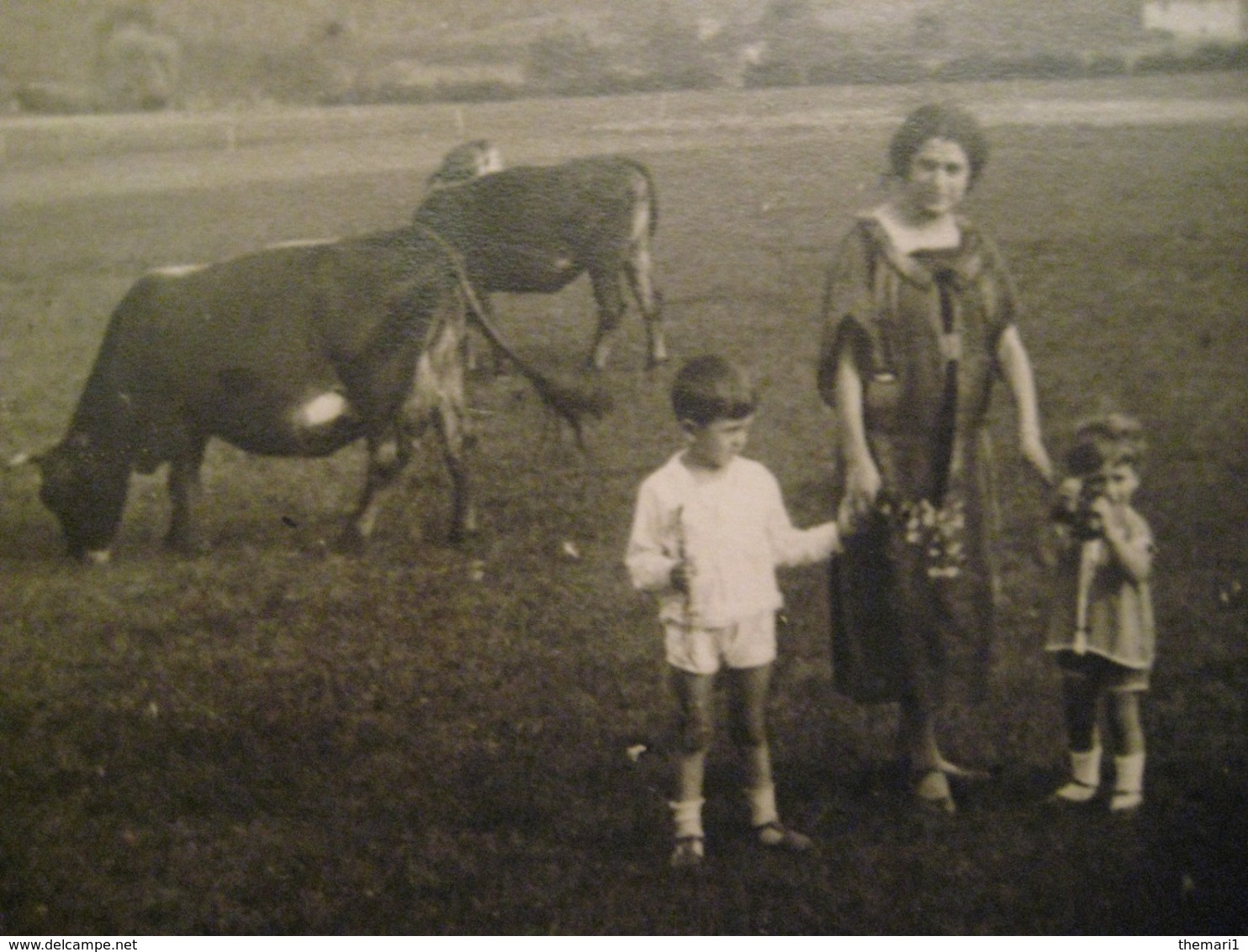 1926 TREMOSINE BRESCIA DONNA BAMBINI MUCCHE COWS VACHES - Altri & Non Classificati