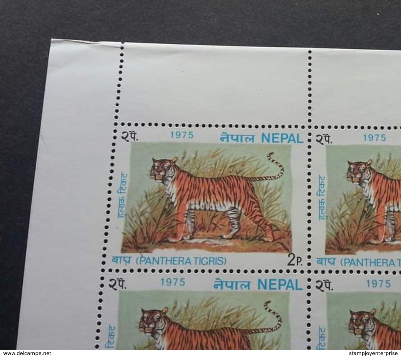 Nepal Tigers 1975 Tiger Wildlife Big Cat (sheetlet) MNH *folded Into Half *see Scan - Nepal