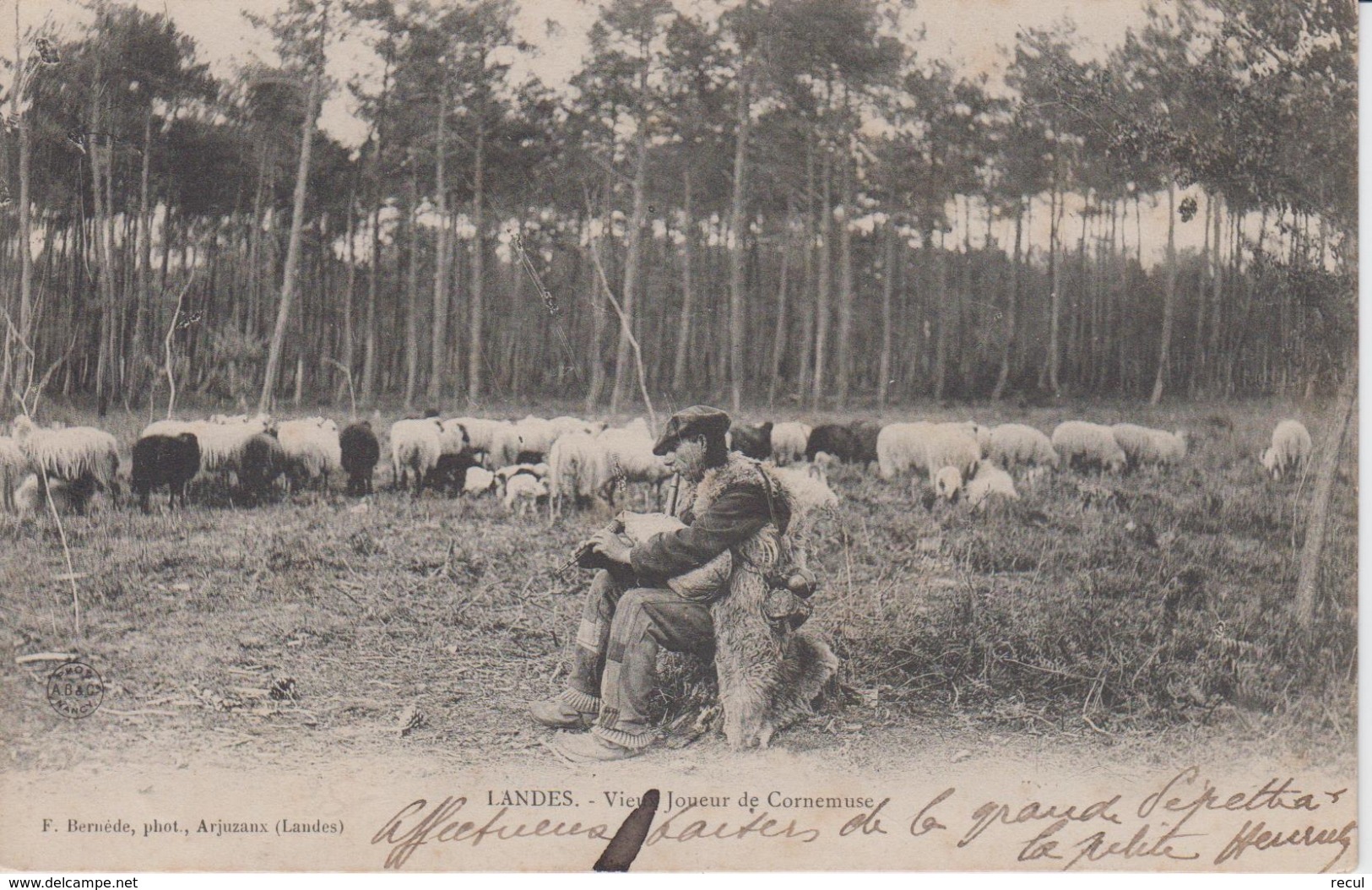 LANDES - Vieux Joueur De Cornemuse ( Gardien De Troupeau Mouton ) - Elevage