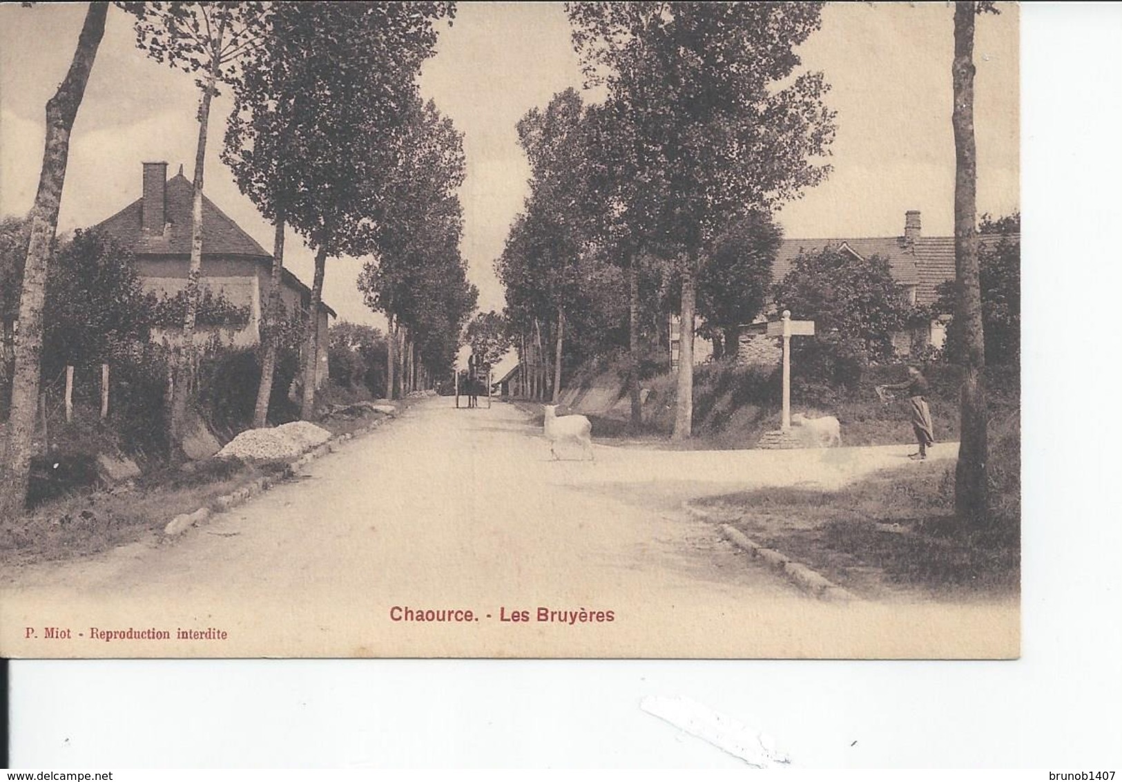 CHAOURCE   Les Bruyeres 1916 - Chaource