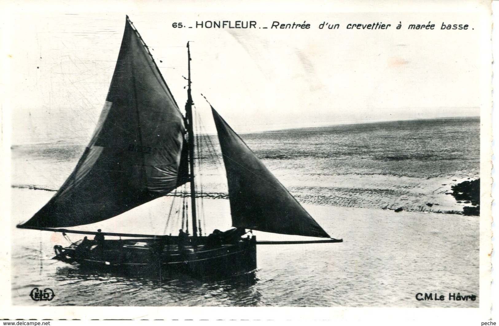 N°77085 -cpsm Honfleur -rentrée D'un Crevettier à Matée Basse- - Pêche