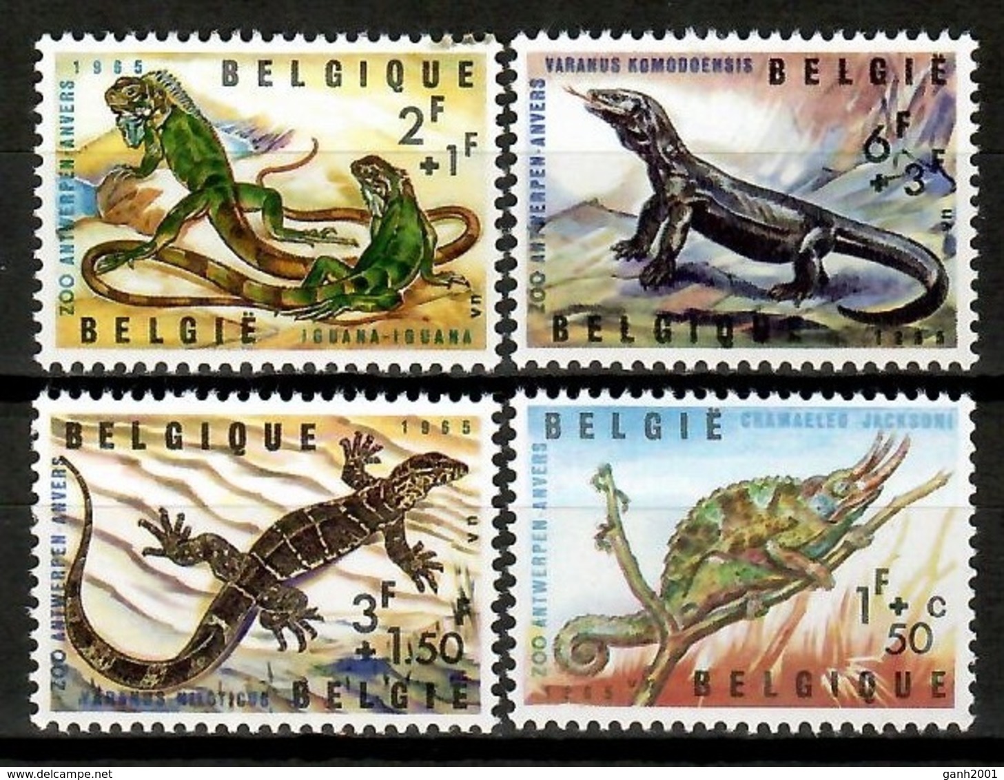 Belgium 1965 Bélgica / Reptiles Lizards MNH Lagartos Camaleón / Cu13920  5-14 - Tortugas