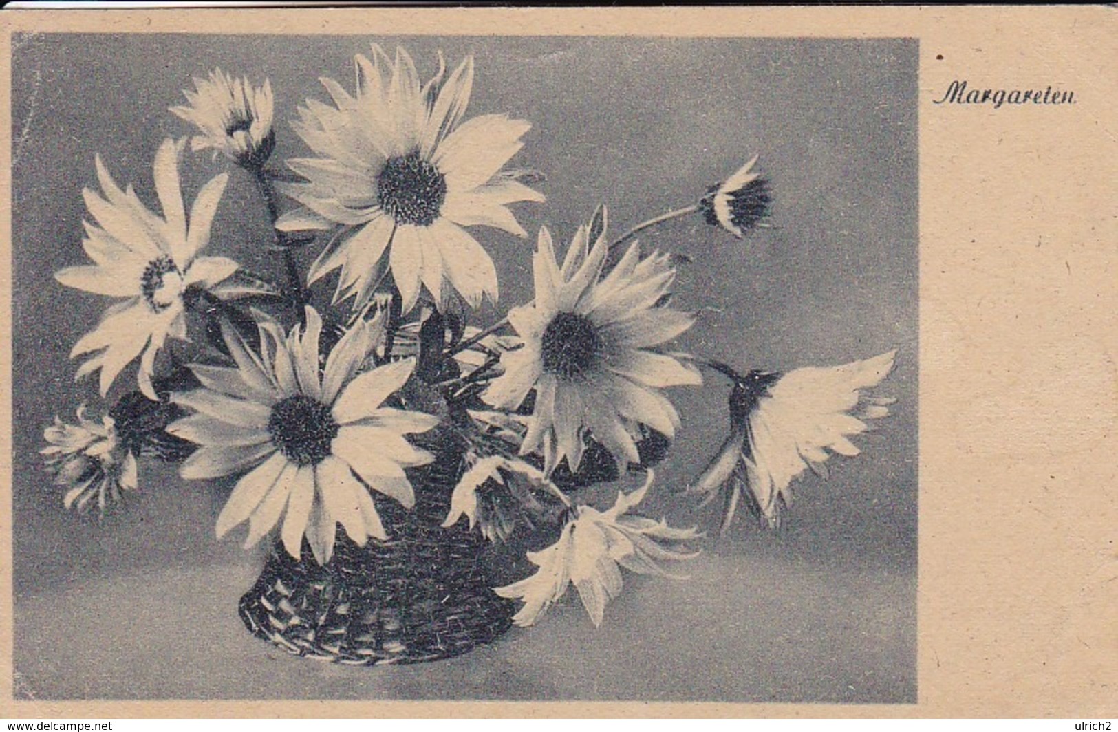 AK Margareten In Basttopf - Blumen   (44103) - Blumen