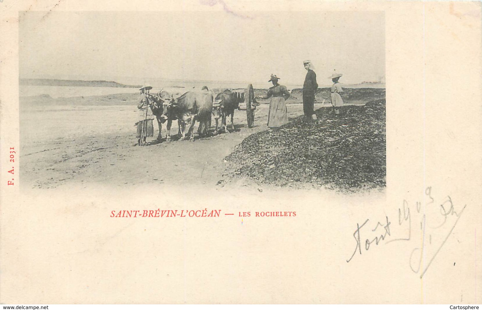 CPA 44 Loire Atlantique Inférieure Saint-Brevin-l'Océan St Les Rochelets Attelage Boeufs Plage (Récolte Goemon ?) - Saint-Brevin-l'Océan