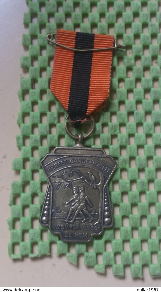 Medaille :Netherlands  - W.S.V De Ploeg Zelhem - Herfstwandeltocht   / Vintage Medal - Walking Association - Andere & Zonder Classificatie