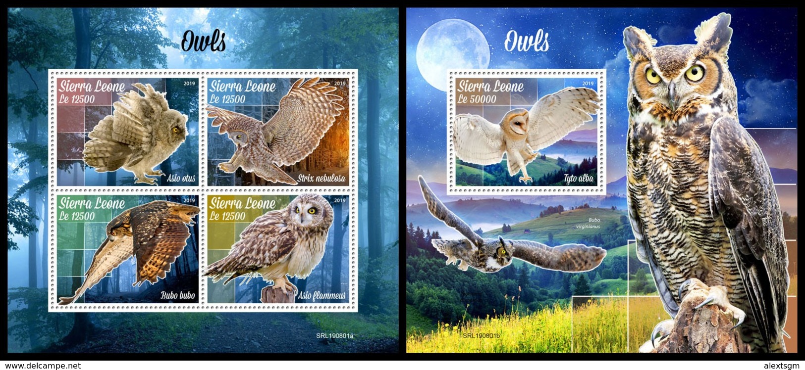 SIERRA LEONE 2019 - Owls. M/S + S/S Official Issue [SL190801] - Otros & Sin Clasificación