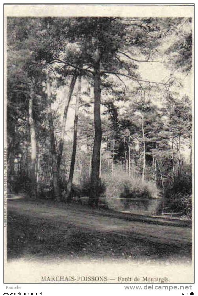 Carte Postale  45.  Marchais-Poissons  Forêt De Montargis  Trés Beau Plan - Montargis