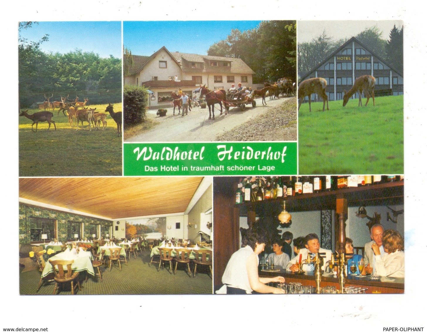 5232 FLAMMERSFELD-HORHAUSEN-OBERSTEINEBACH, "Waldhotel Heiderhof" - Altenkirchen