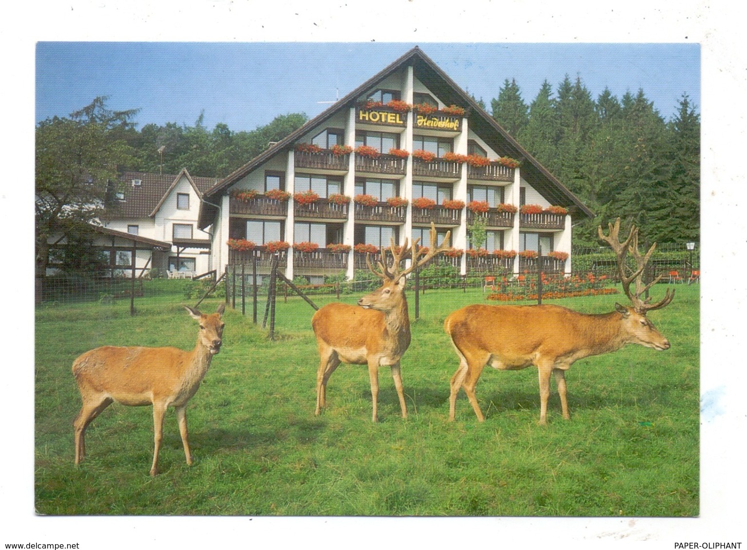 5232 FLAMMERSFELD-HORHAUSEN-OBERSTEINEBACH, "Waldhotel Heiderhof" - Altenkirchen