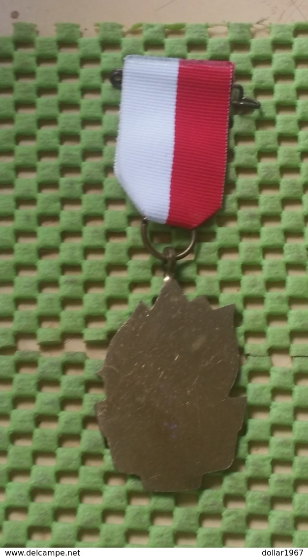 Medaille :Netherlands  -  Voorjaarstocht E.W.B Enschede   / Vintage Medal - Walking Association - Andere & Zonder Classificatie