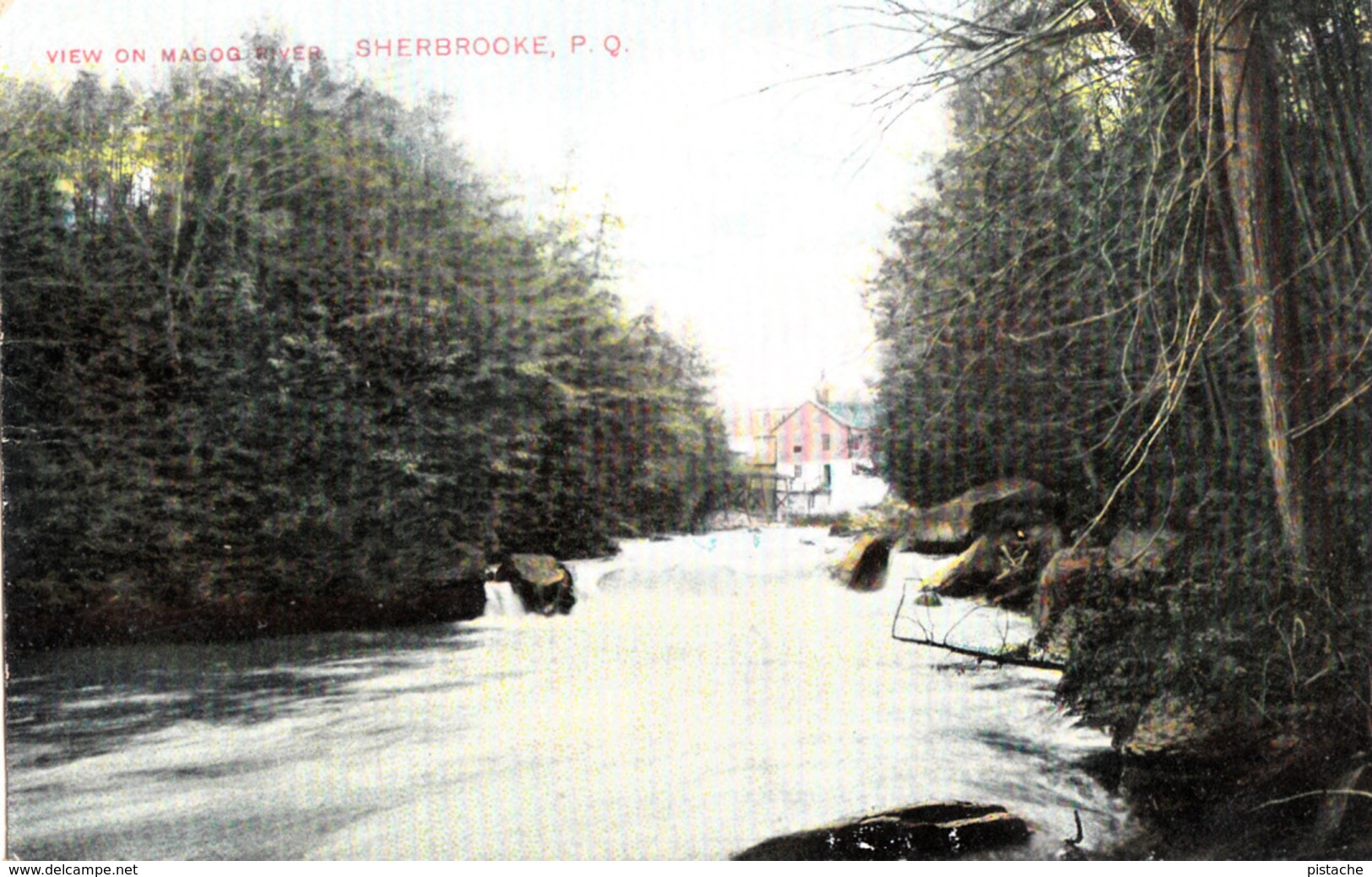 Sherbrooke Québec - Rivière Magog River - By Montreal Import No. 819 - Written - 2 Scans - Sherbrooke