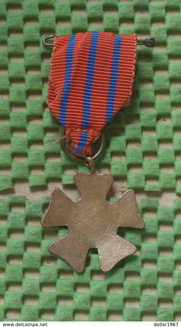 Medaille :Netherlands  -  Avond Vier Daagse - Nijmegen  / Vintage Medal - Walking Association - Other & Unclassified