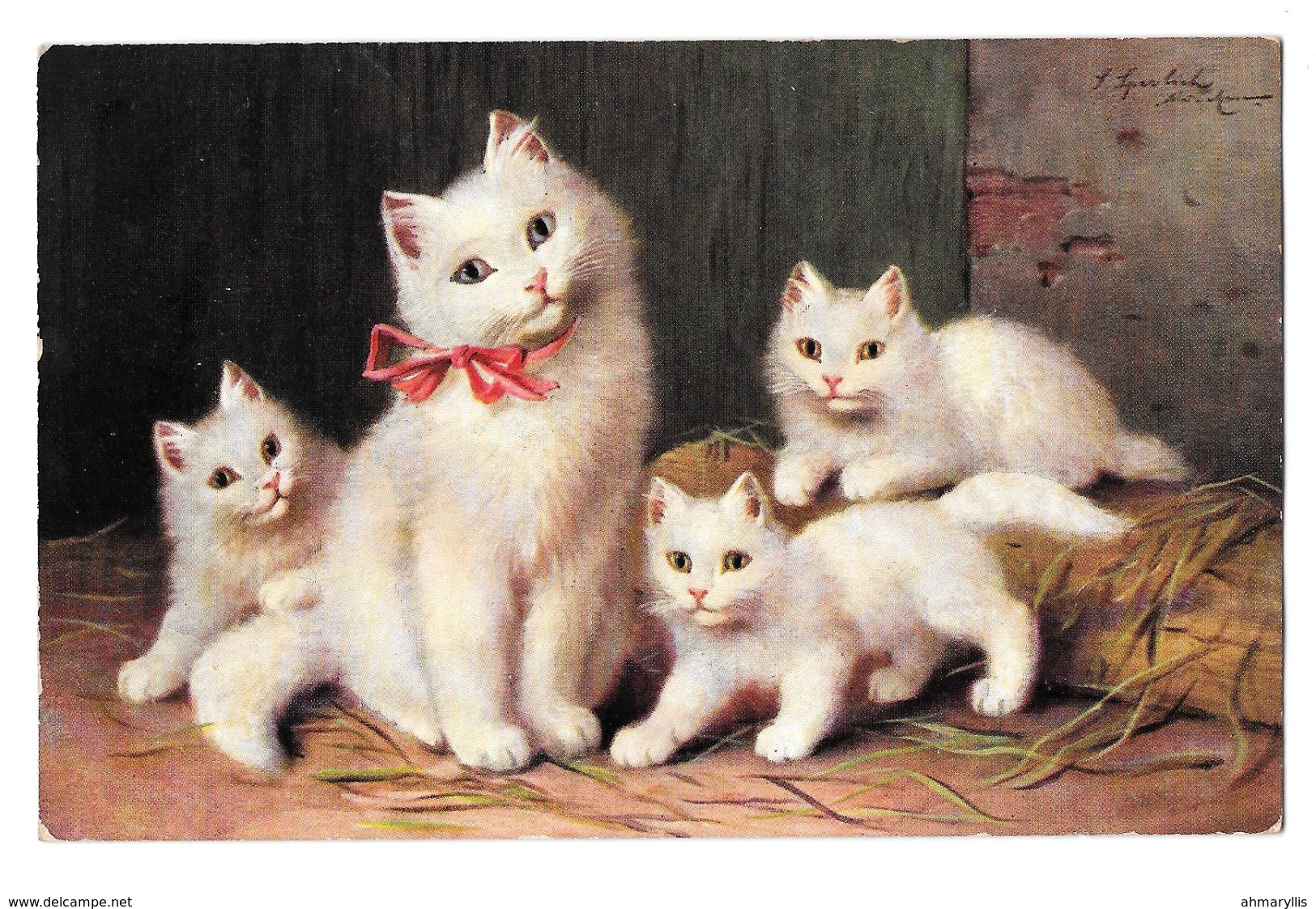 Sperlich Chats Cats Blancs White 1911 Cachet Exposition - Andere & Zonder Classificatie