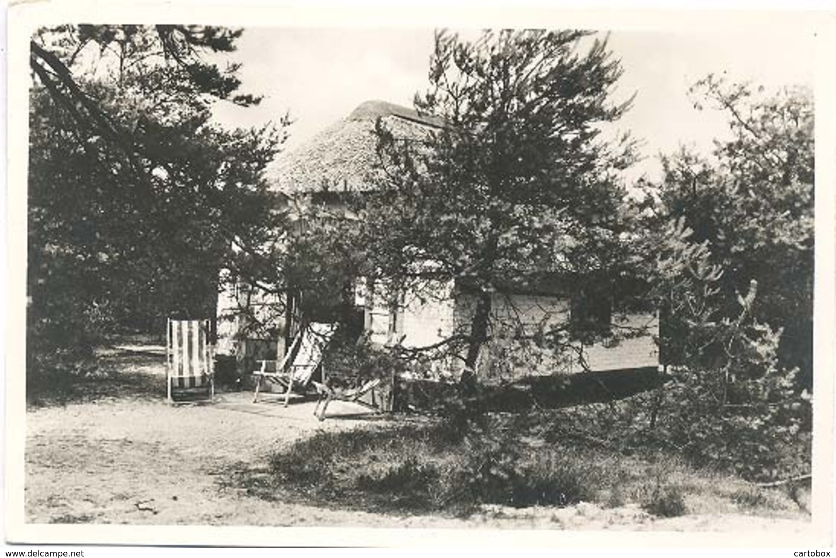 Harderwijk, De Woudstee  (Hierden)  (glansfotokaart) - Harderwijk