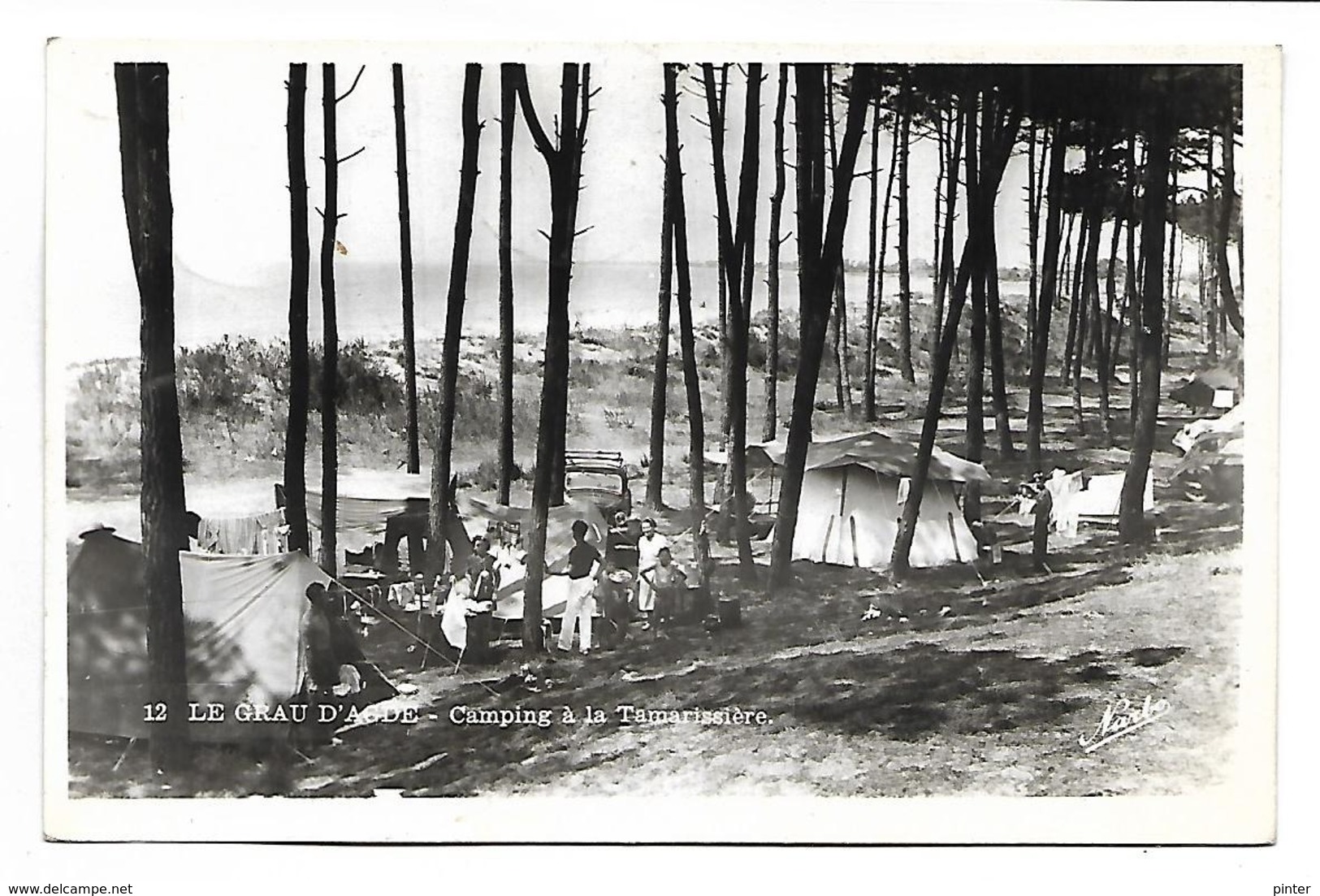 LE GRAU D'AGDE - Camping à La Tamarissière - Autres & Non Classés