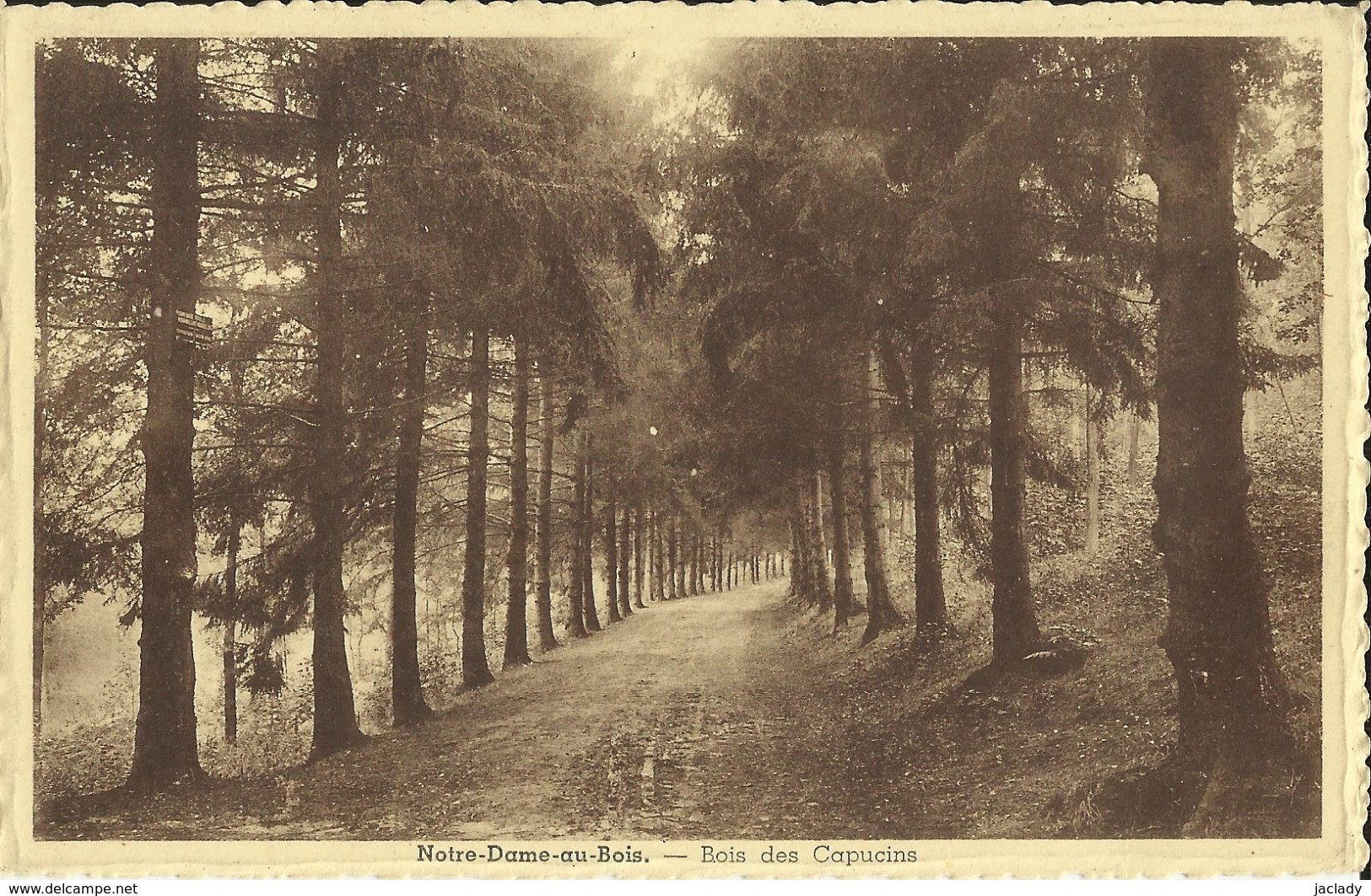 Notre - Dame - Au - Bois -- Bois  Des  Capucins.    (2 Scans) - Overijse