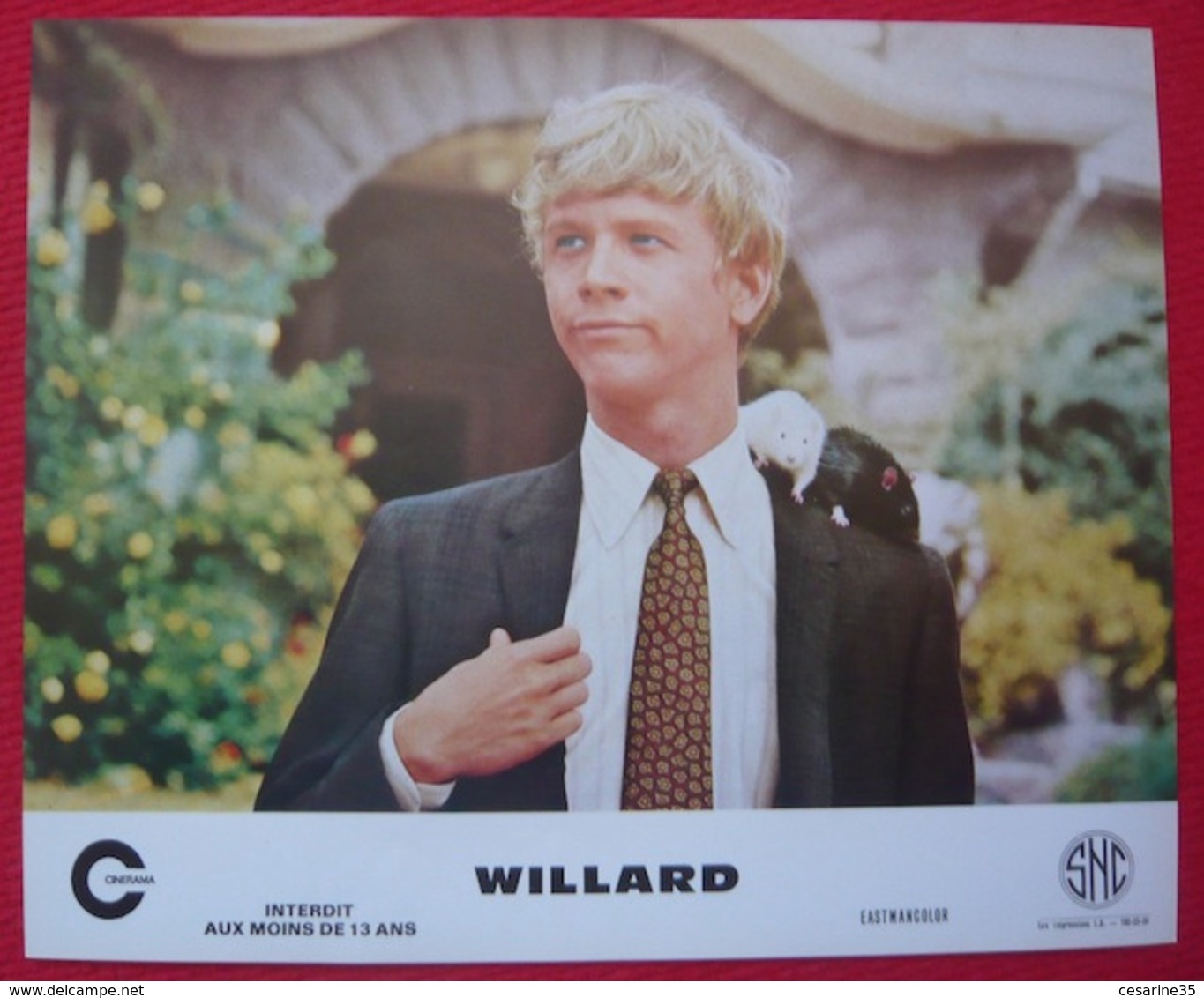 16 Photos Du Film Willard (2003) – Glen Morgan - Albums & Collections