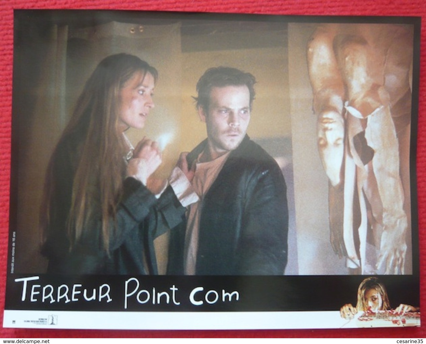 8 Photos Du Film Terreur Point Com (2002) - Albums & Collections