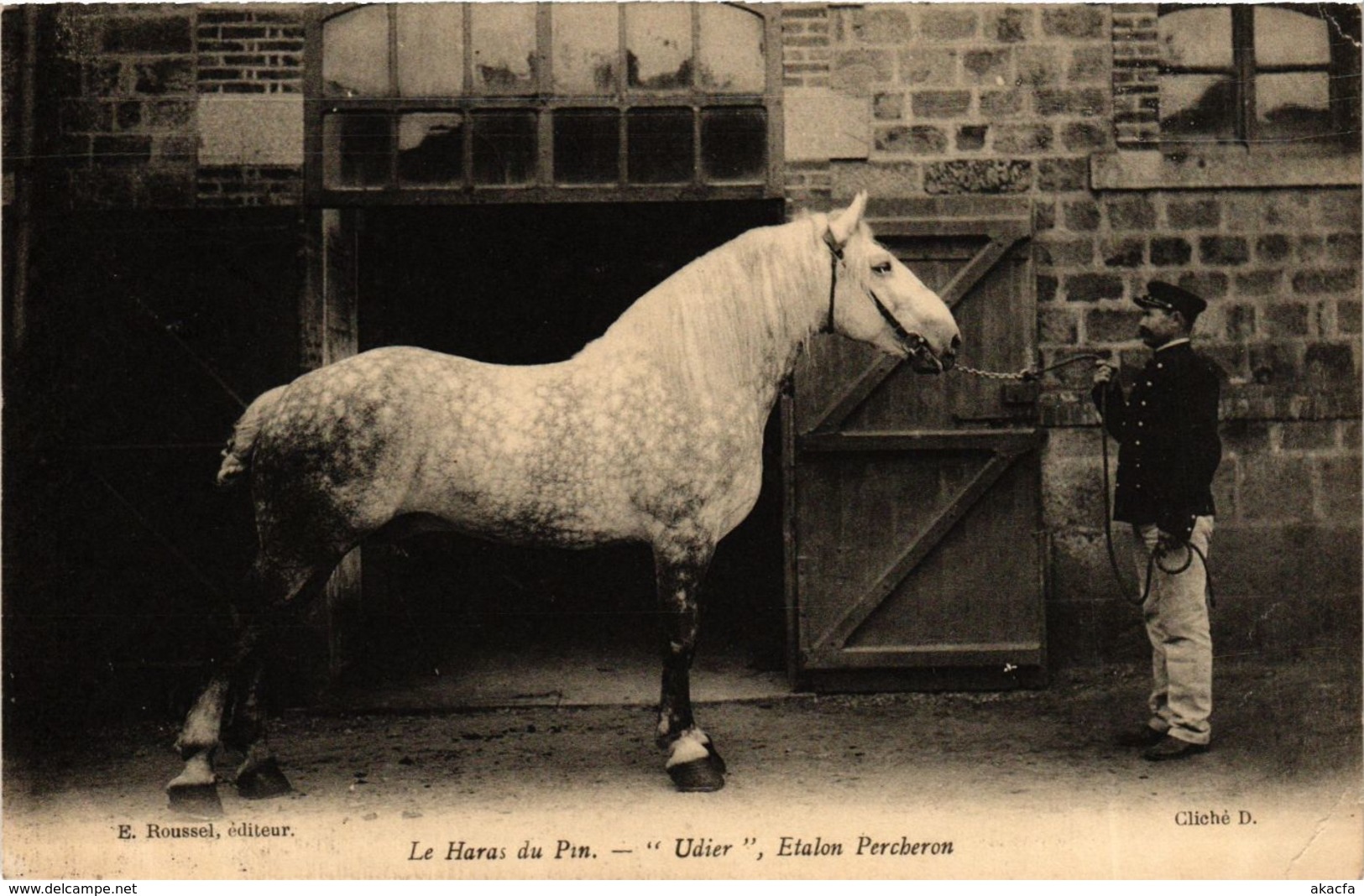 CPA LE HARAS-du-PIN Udier Etalon Percheron Cheval Horse Pferd (868734) - Autres & Non Classés