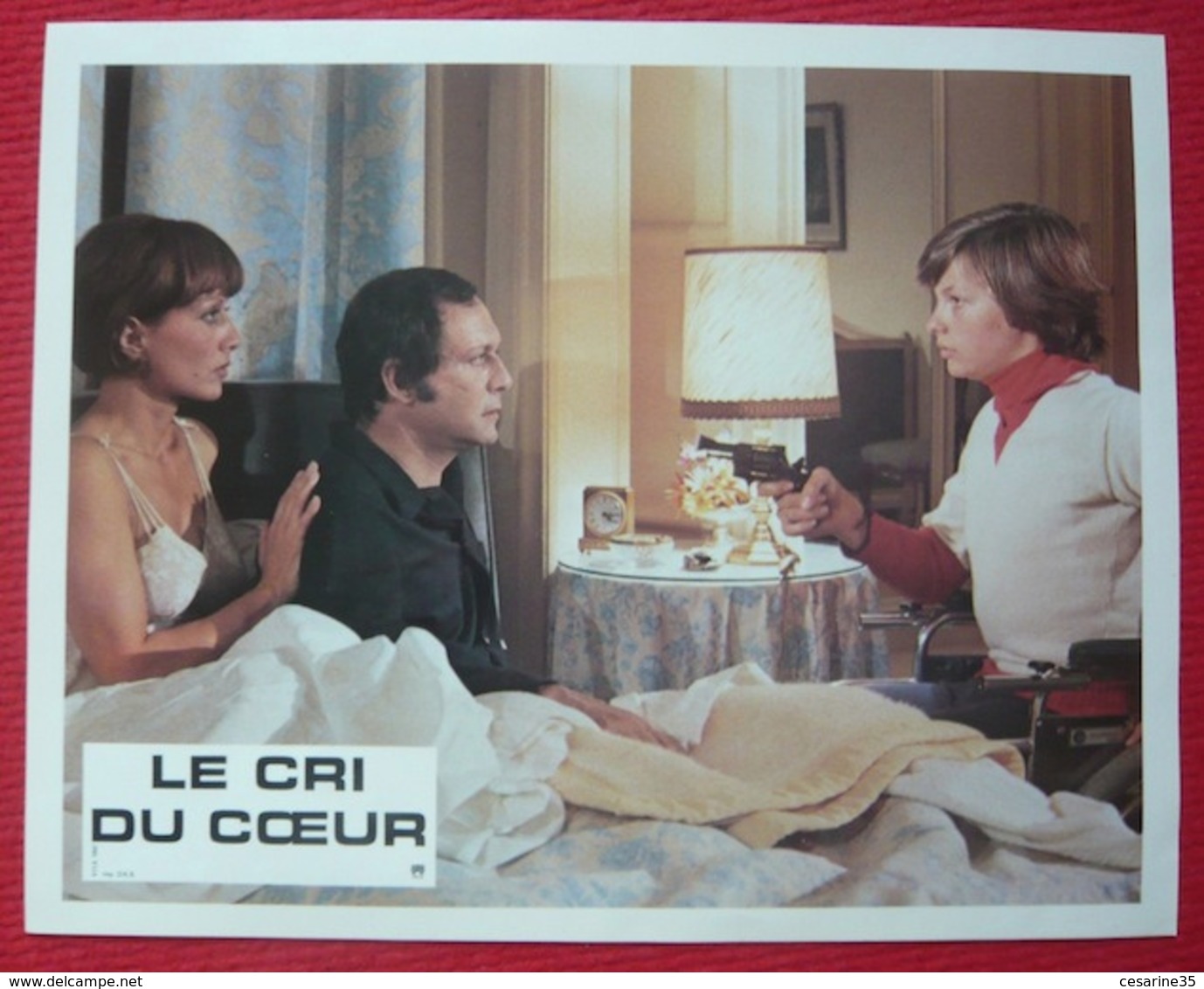 10 Photos Du Film Le Cri Du Cœur (1974)  - Ronet - Albums & Collections