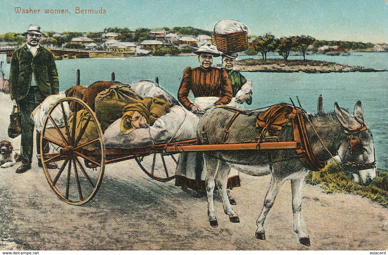 Washer Women Bermuda Donkey Cart . Attelage Ane  Edit Weiss . Laveuse - Bermuda