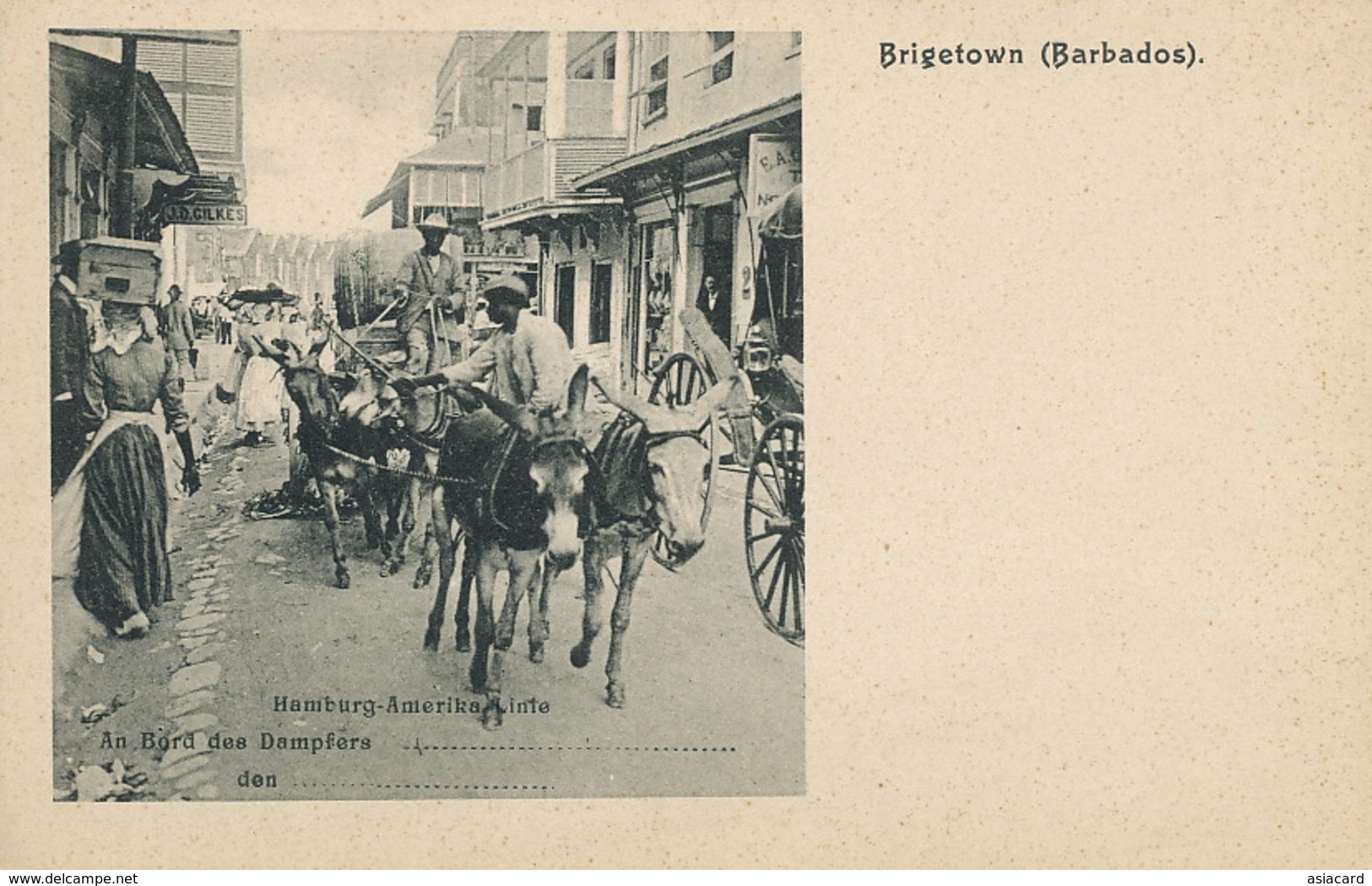 Barbados Brigetown  Pioneer . Hamburg Amerika Line . Undivided Back . Donkey Cart . Attelage Ane - Barbades