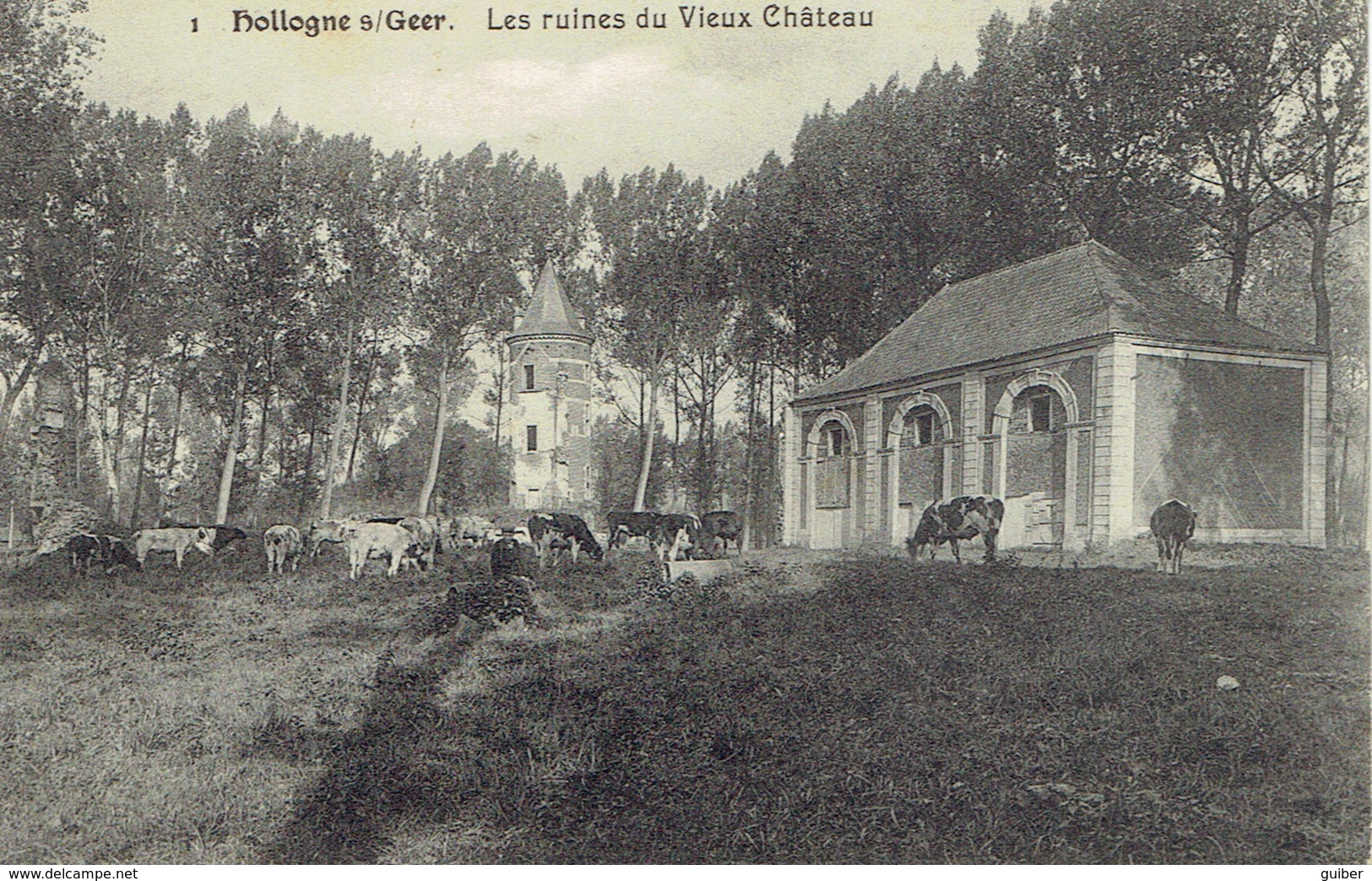 Hollogne Sur Geer Les Ruines Du Vieux Chateau N° 1 Laflotte 1911 - Geer