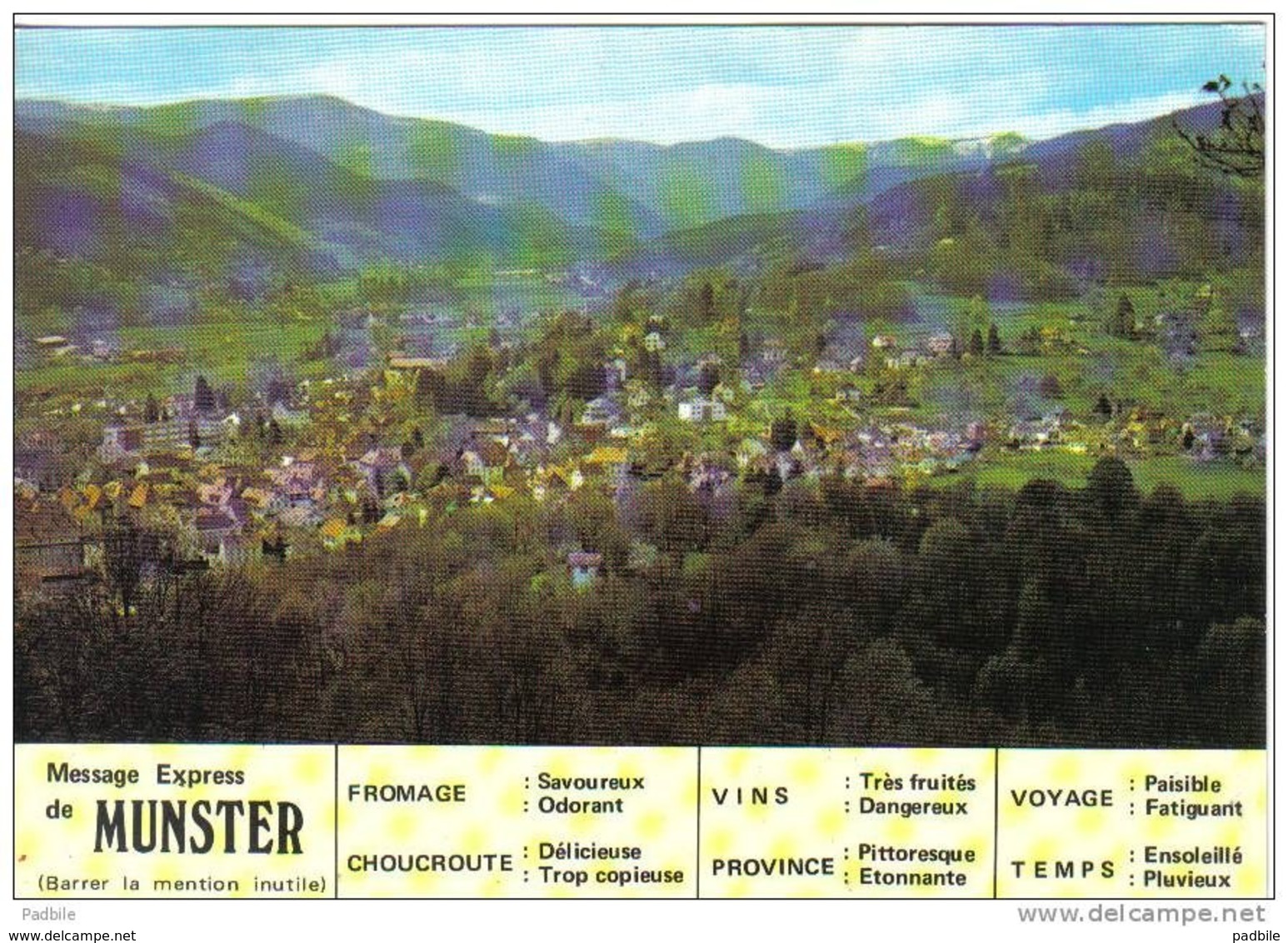 Carte Postale 68.  Munster  Trés Beau Plan - Munster