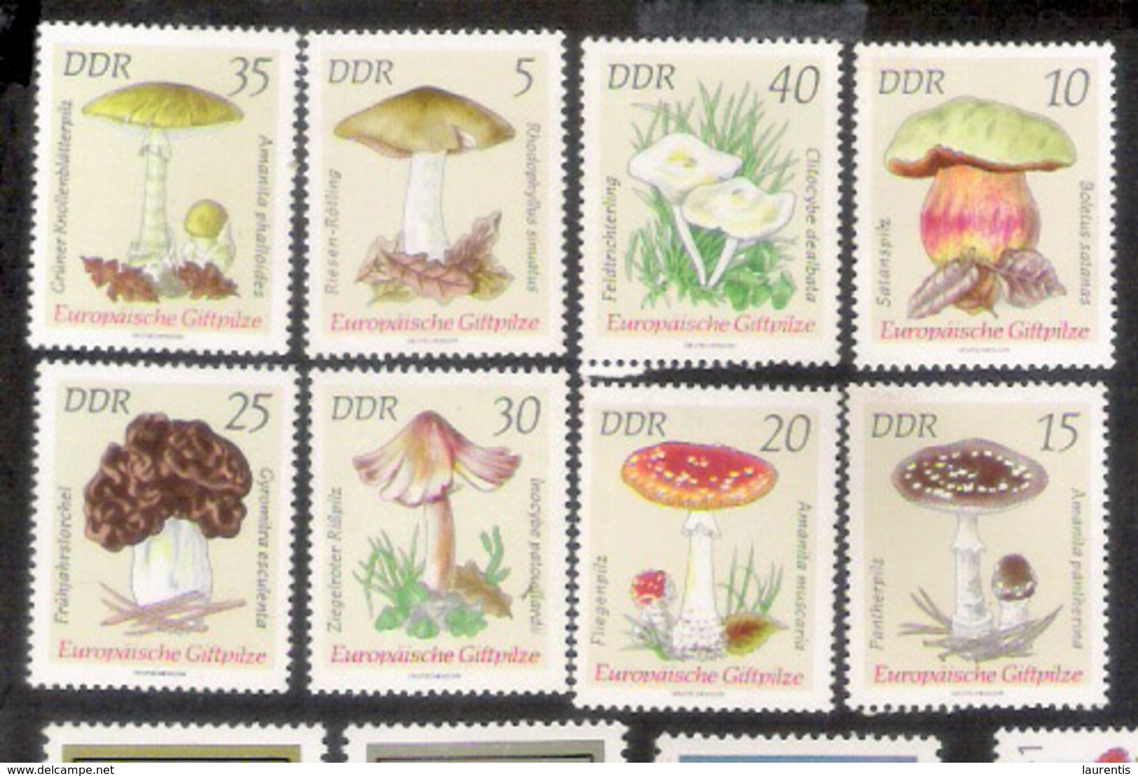 633  Mushrooms - Champignons - DDR Yv 1613-20 - Slightly Toned Gum - Free Shipping - 1,75 (7) - Mushrooms