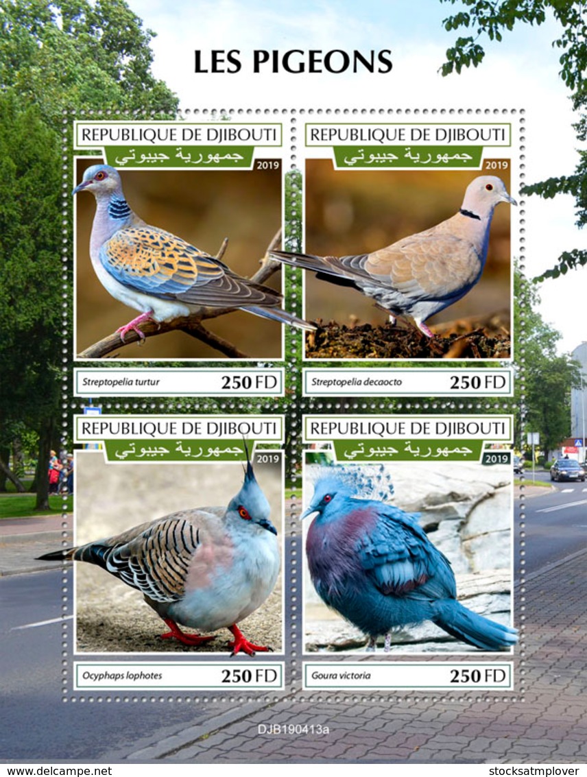 Djibouti 2019 Fauna Pigeons S201909 - Djibouti (1977-...)