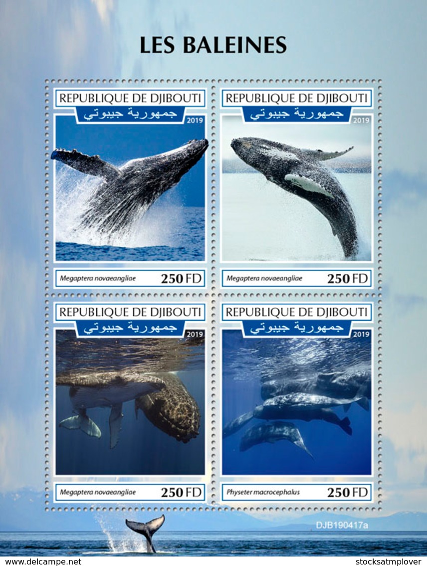 Djibouti 2019 Fauna Whales S201909 - Djibouti (1977-...)