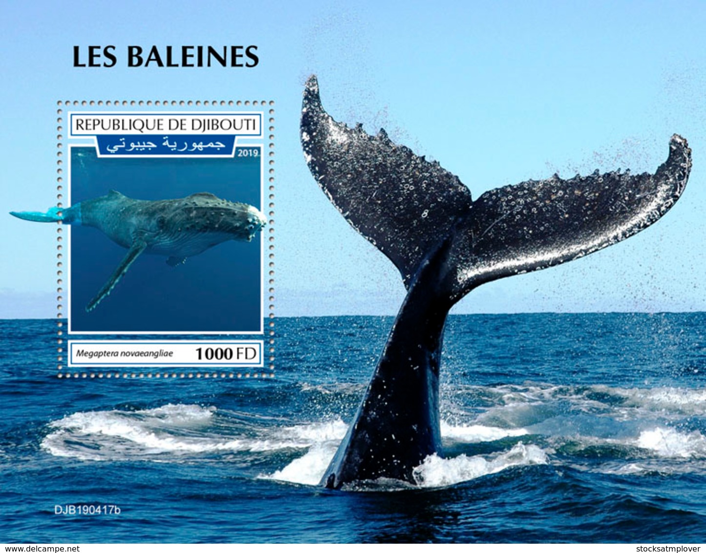 Djibouti 2019 Fauna Whales S201909 - Djibouti (1977-...)