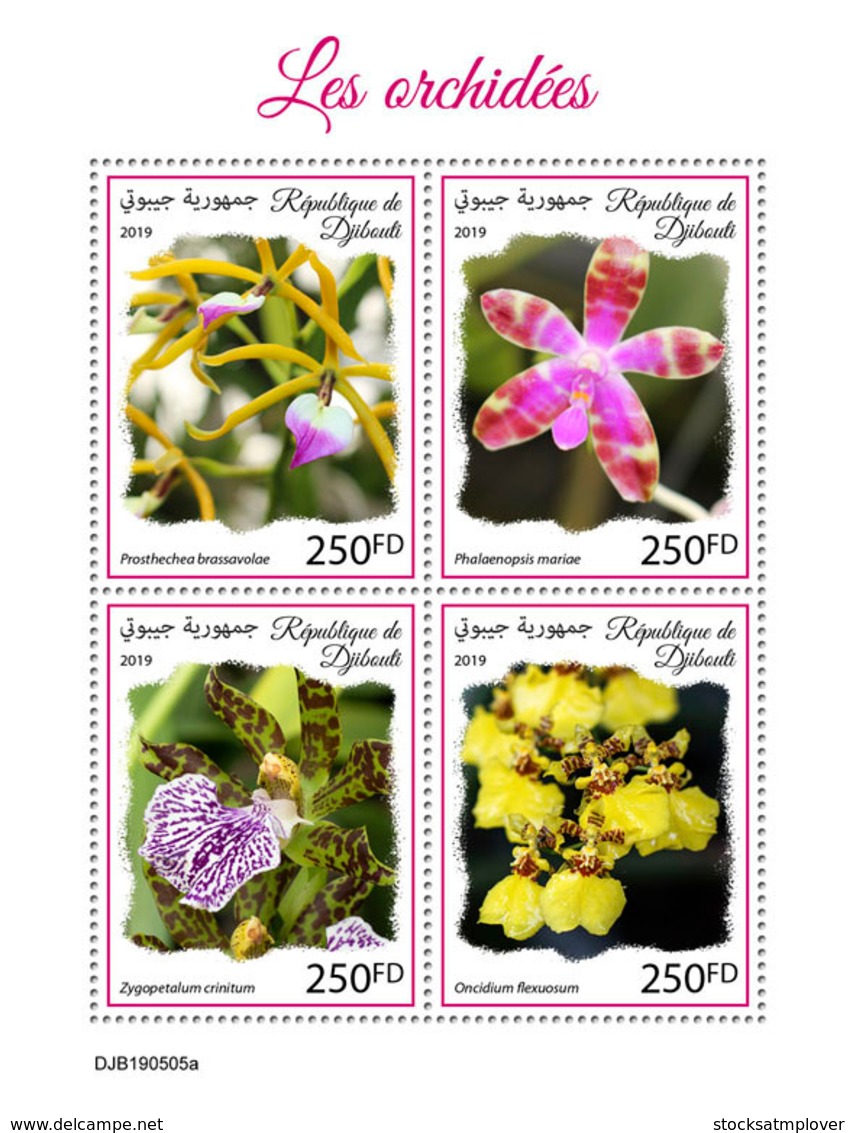 Djibouti 2019 Orchids S201909 - Djibouti (1977-...)