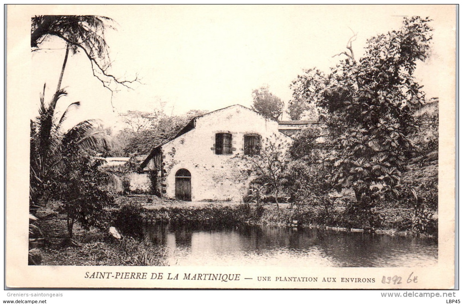 972 SAINT PIERRE DE LA MARTINIQUE - Une Plantation Aux Environs - Other & Unclassified