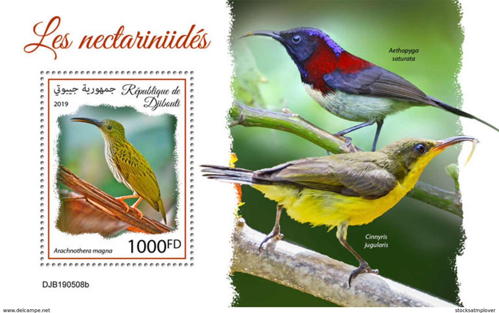 Djibouti 2019 Fauna Sunbirds S201909 - Djibouti (1977-...)