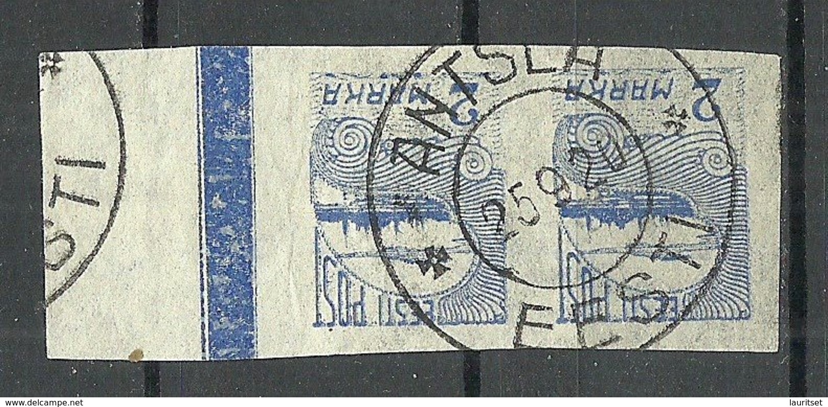 ESTLAND ESTONIA 1920 Michel 17 Pair With Nice Margin O ANTSLA - Estland