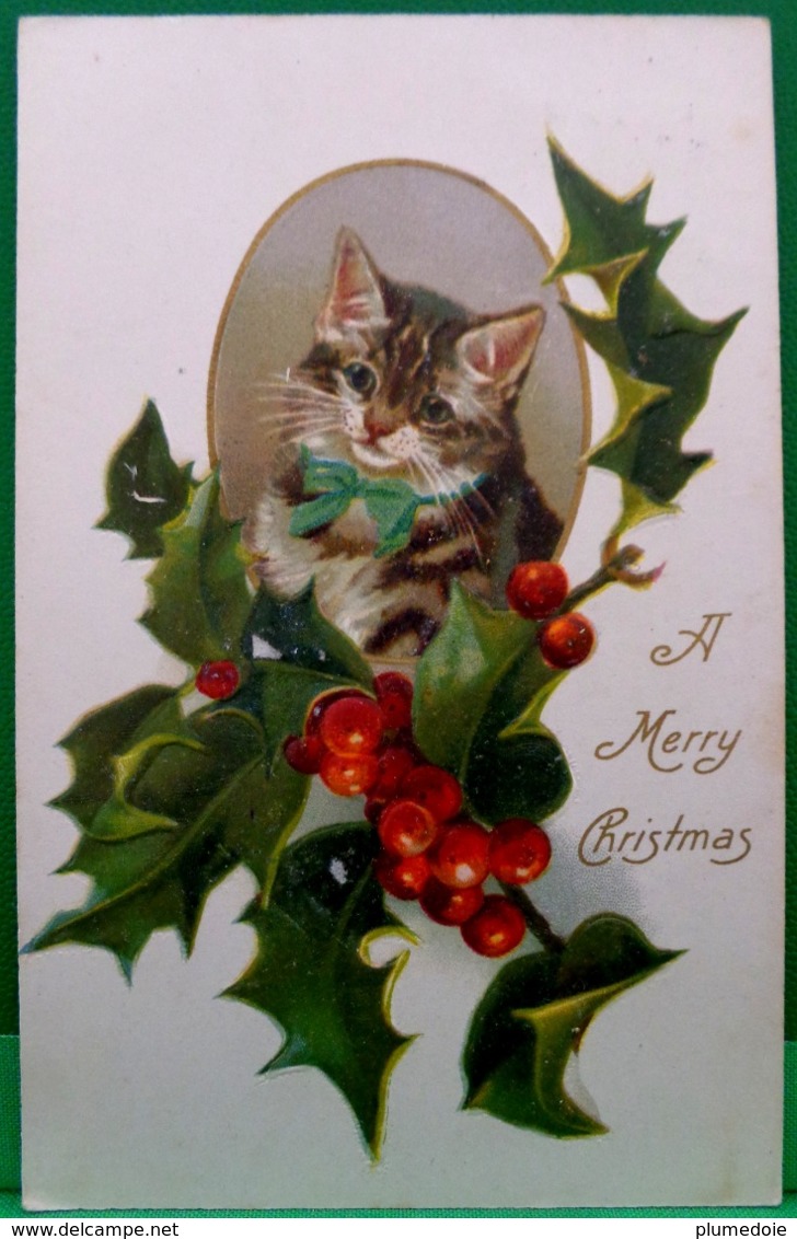 Cpa Gaufrée ,  PETIT CHAT, NOEUD Bleu Et HOUX , NOEL 1908  , Embossed Cute CAT Kitten HOLLY CHRISTMAS  KATZE Old Pc - Katzen