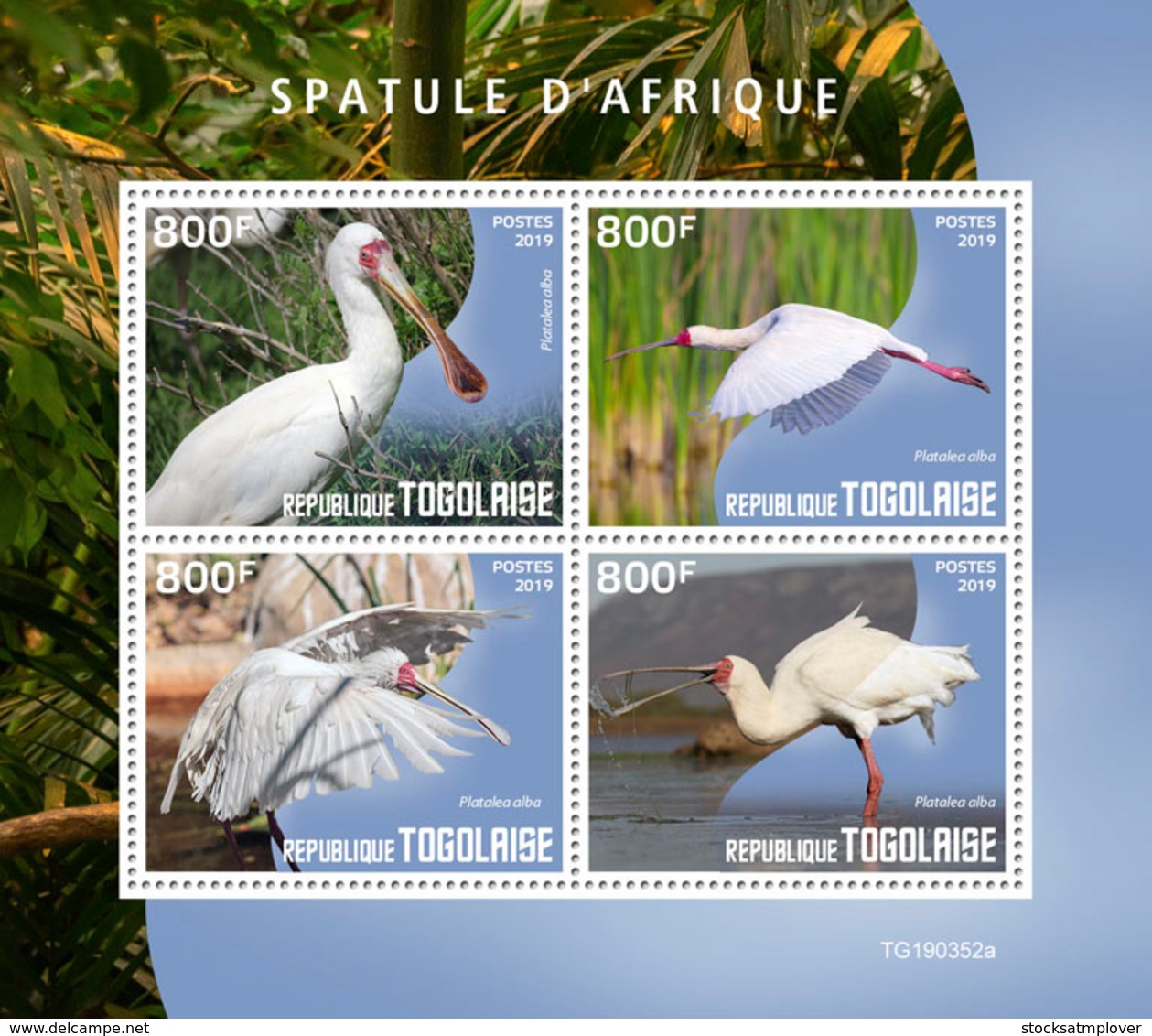 Togo 2019 Fauna   African Spoonbill ,birds  S201909 - Togo (1960-...)