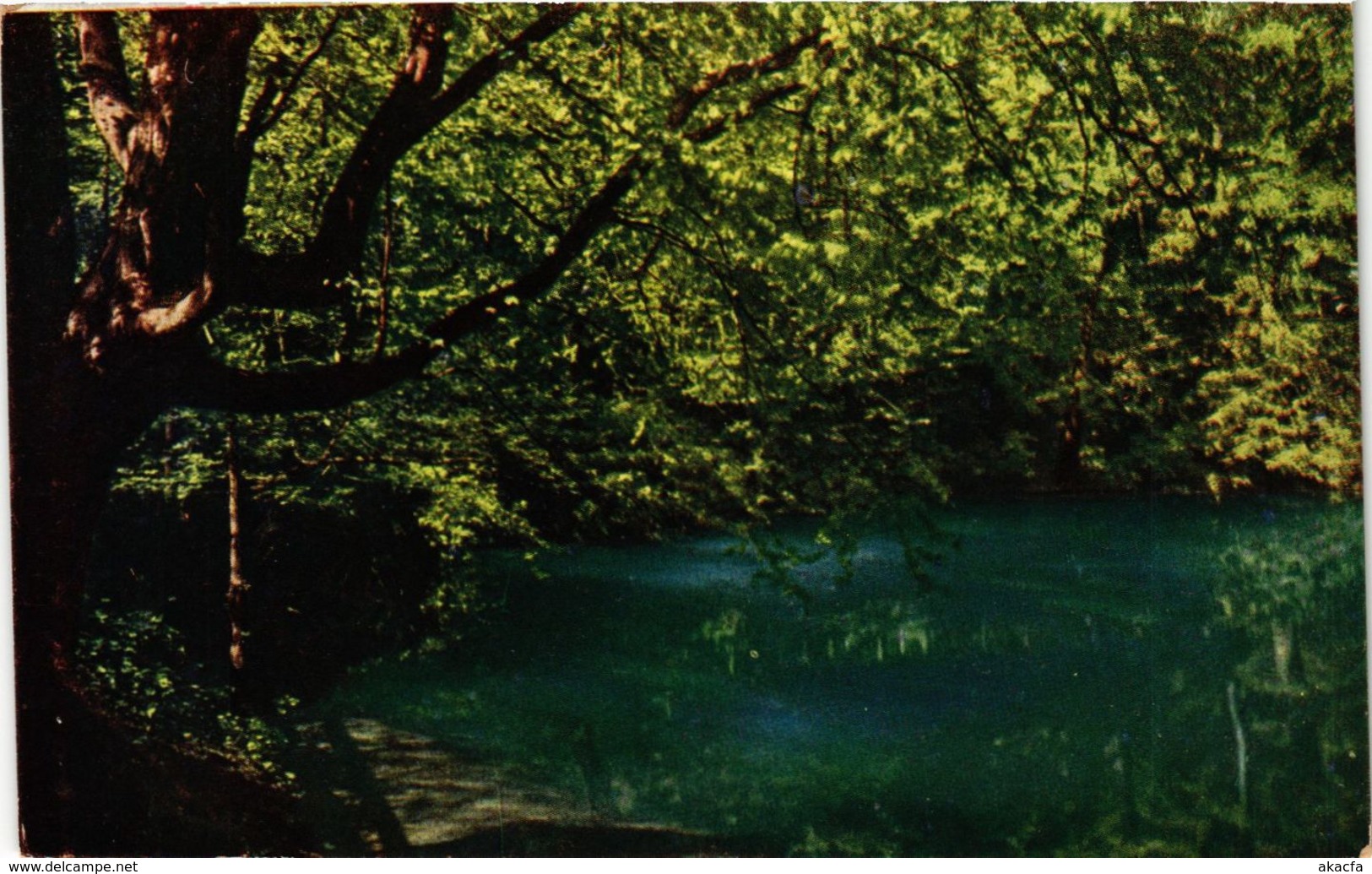 CPA AK Blaubeuren Blautopf GERMANY (897435) - Blaubeuren