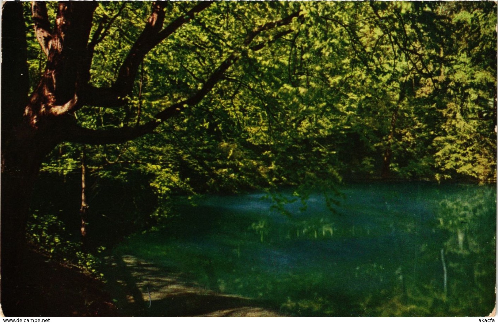 CPA AK Blaubeuren Blautopf GERMANY (897442) - Blaubeuren