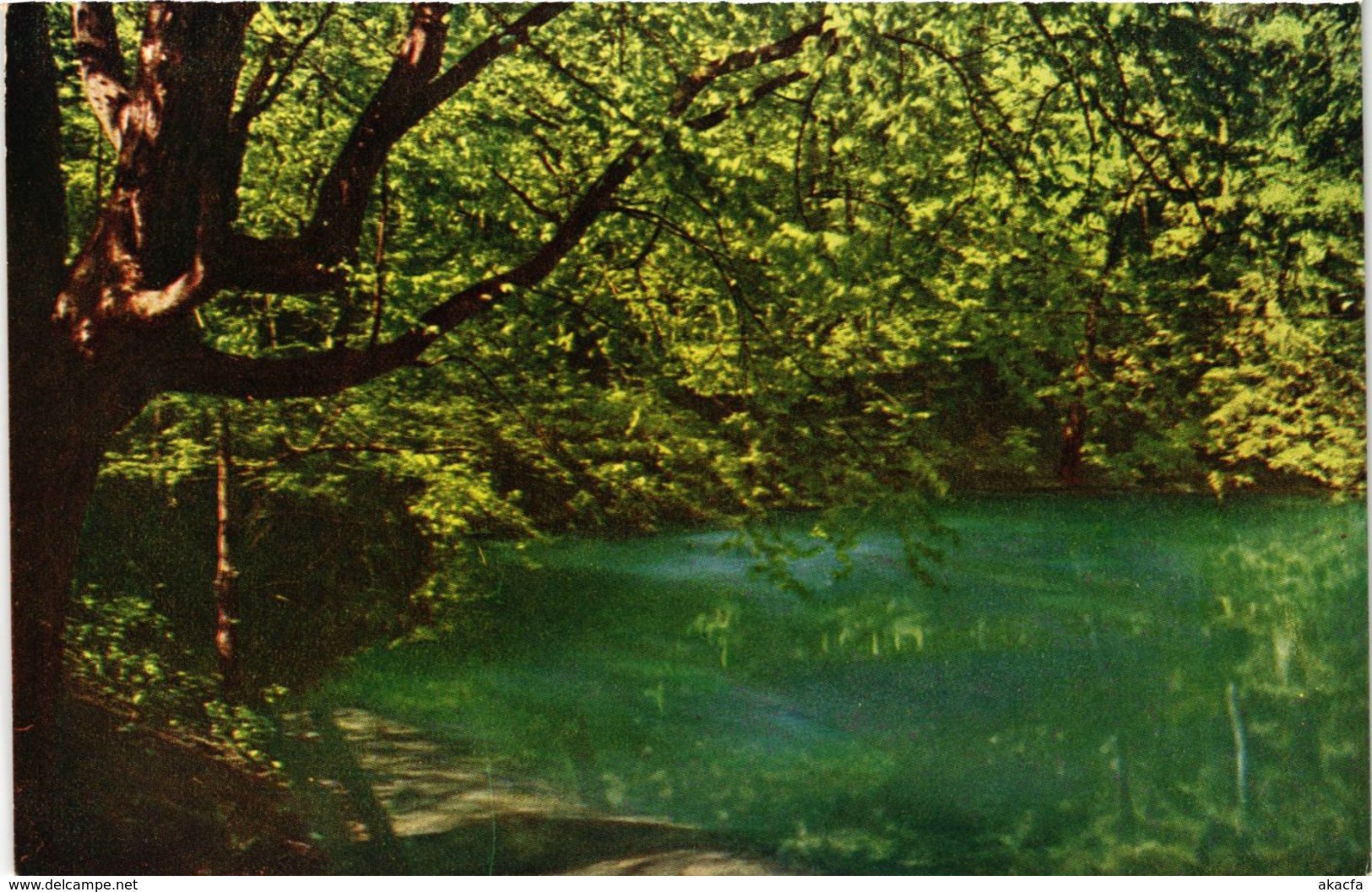 CPA AK Blaubeuren Blautopf GERMANY (897449) - Blaubeuren