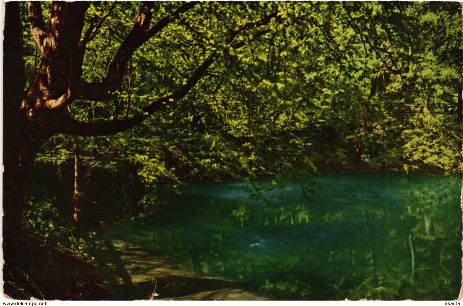 CPA AK Blaubeuren Blautopf GERMANY (897463) - Blaubeuren